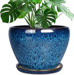 Blue textured pot with a green plant on a white background