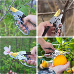 Collage of a gardening tool being used on plants and fruit.