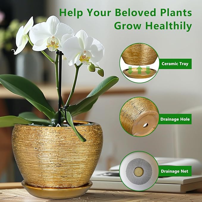 Potted orchid with a ceramic tray, drainage hole, and drainage net on a blurred indoor background.