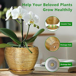 Potted orchid with a ceramic tray, drainage hole, and drainage net on a blurred indoor background.