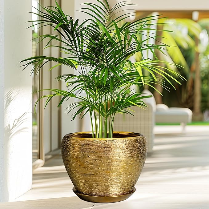 Potted plant in a gold pot on a patio with a blurred outdoor background