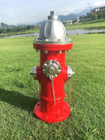 Red fire hydrant with silver top on a grassy field