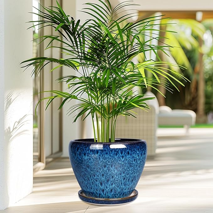 Potted plant with a blue pot on a light wooden floor