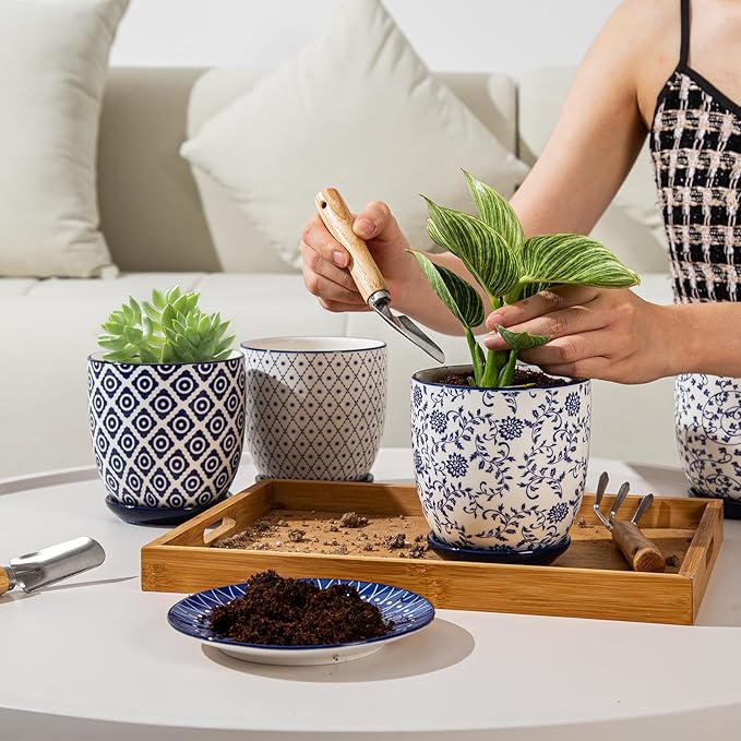 Person repotting a plant on a table with decorative pots and gardening tools.