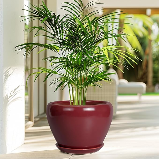 Potted plant in a red pot on a wooden floor with a blurred outdoor background