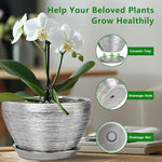 White orchid in a textured pot with a ceramic tray, drainage hole, and net shown.
