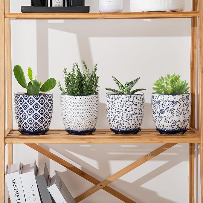Four potted plants on a wooden shelf with decorative pots.