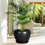 Potted plant on a table with a blurred outdoor background