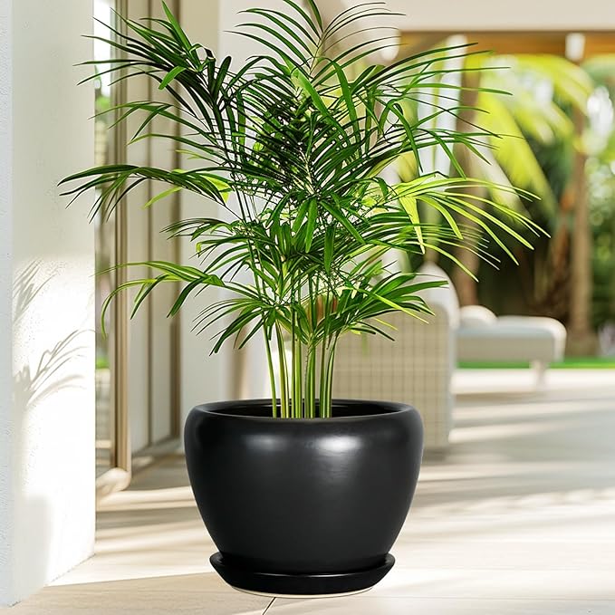 Potted plant on a table with a blurred outdoor background