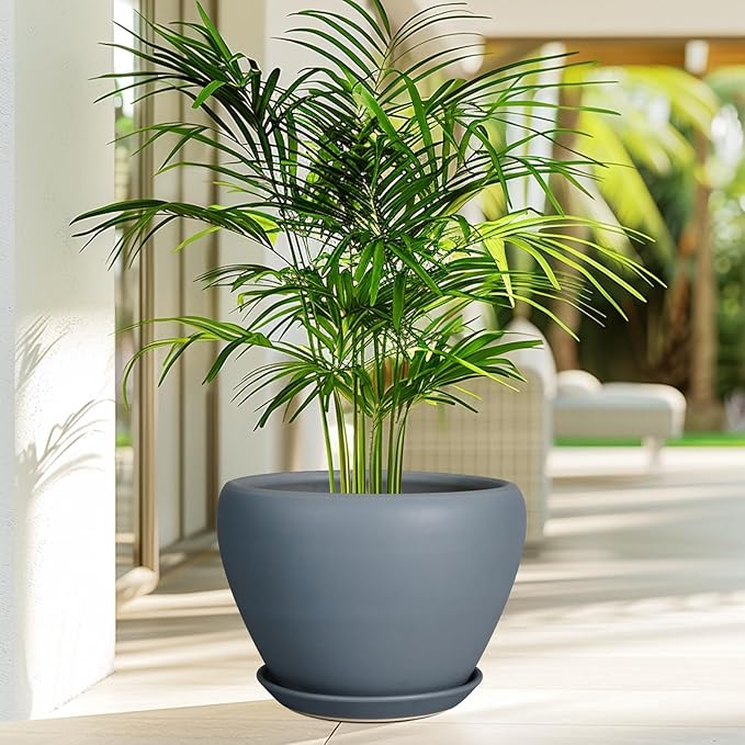 Potted plant in a gray pot on a patio with a blurred outdoor background