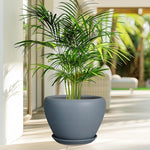Potted plant in a gray pot on a patio with a blurred outdoor background
