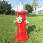Red fire hydrant with silver components on a grassy area