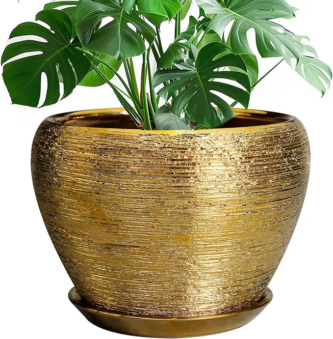 Gold decorative pot with a green plant on a white background