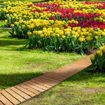 Wooden pathway leading through a garden with rows of yellow and red tulips.