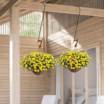 Two hanging baskets of yellow flowers in a wooden interior setting.
