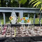 Gnome figurine with sunflower next to seedling trays on a deck
