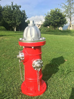 Red fire hydrant with silver components on a grassy area