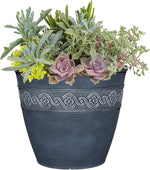Decorative blue pot with a variety of succulents and greenery on a white background