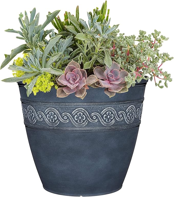 Decorative blue pot with a variety of succulents and greenery on a white background