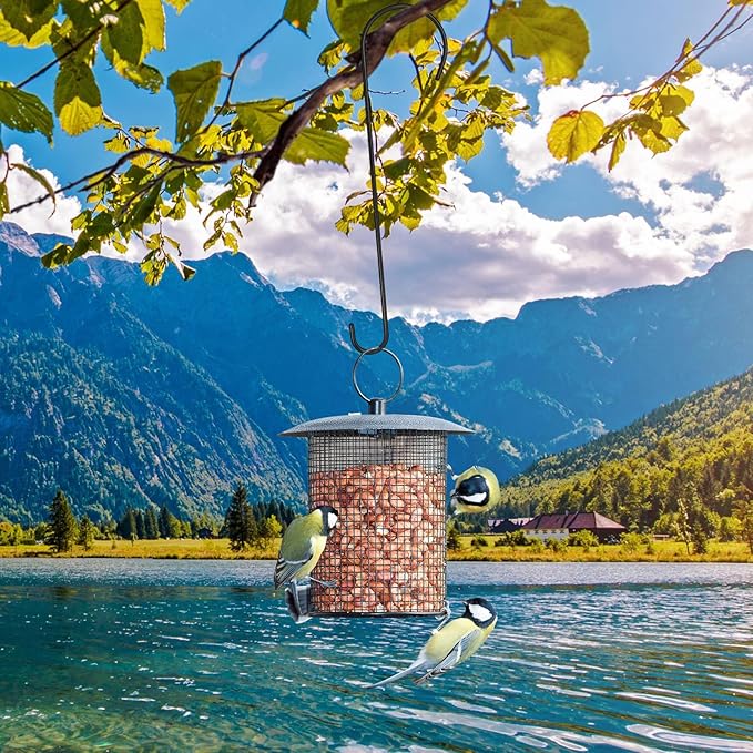 Bird feeder with birds perched on it against a scenic mountain and lake background