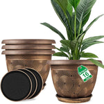 Set of decorative plant pots with a plant and labels on a white background