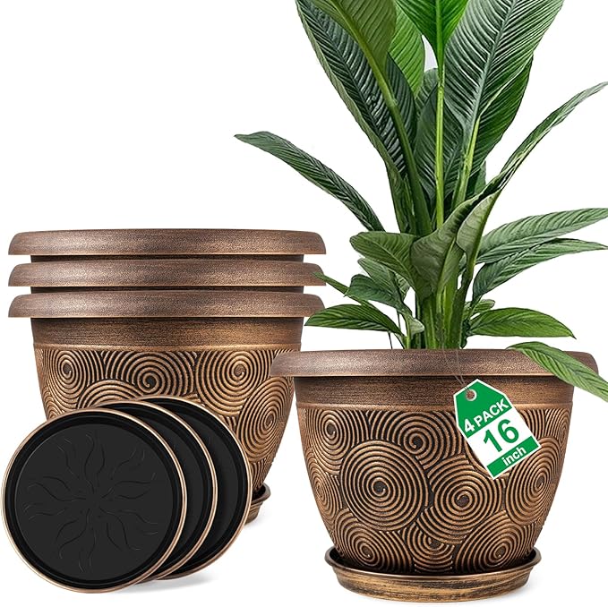 Set of decorative plant pots with a plant and labels on a white background
