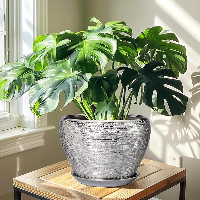 Potted Monstera plant on a wooden table with sunlight casting shadows.