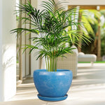 Potted plant with a blue pot on a patio