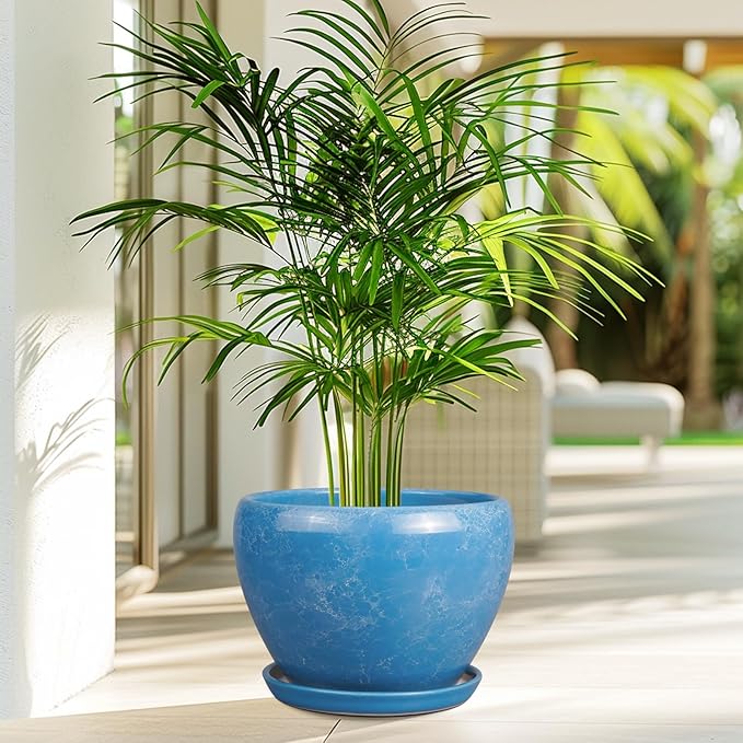 Potted plant with a blue pot on a patio