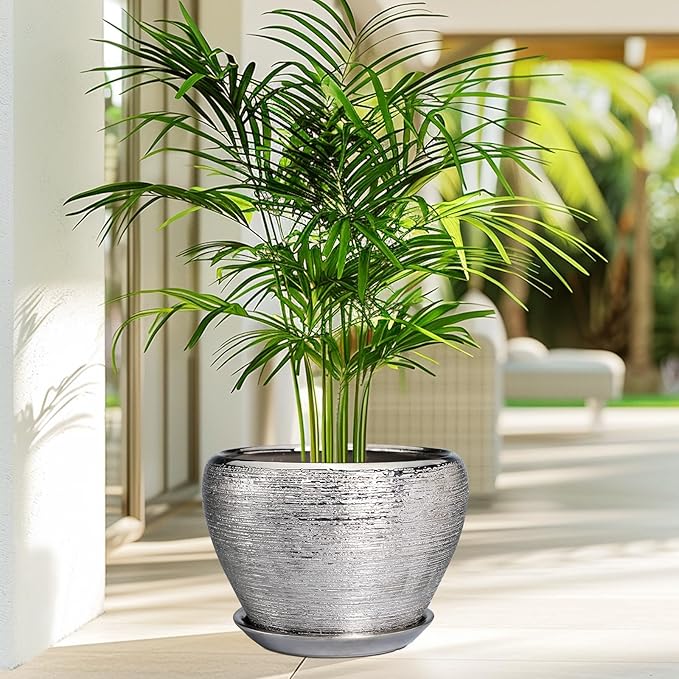 Potted plant in a textured pot on a patio with blurred background