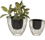 Two wire wall planters with black pots, one containing a plant, on a white background.