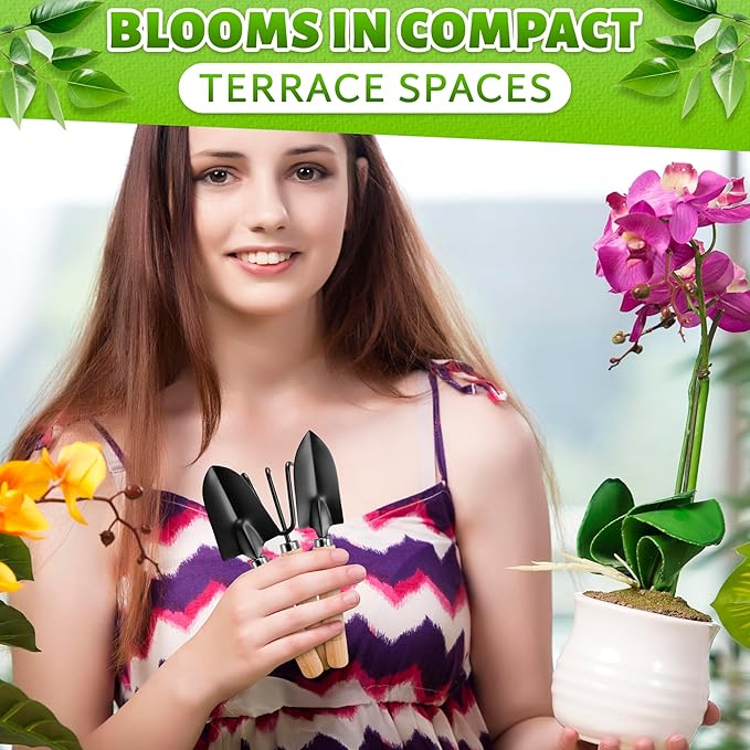 Woman holding gardening tools and an orchid, with text about compact terrace spaces.