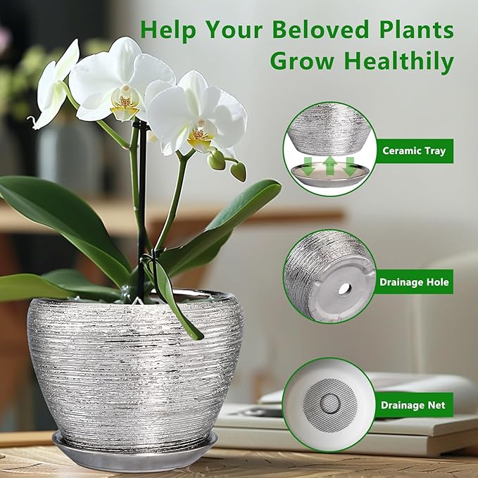 Potted orchid with a ceramic tray, drainage hole, and drainage net on a blurred indoor background.