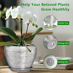 Potted orchid with a ceramic tray, drainage hole, and drainage net on a blurred indoor background.