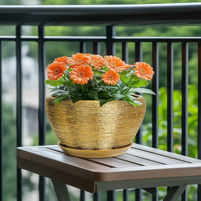 Potted plant with orange flowers on a wooden table outdoors