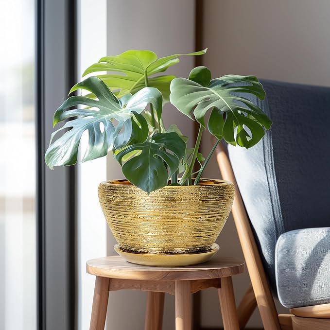 Potted plant in a gold pot on a wooden stool next to a gray chair.