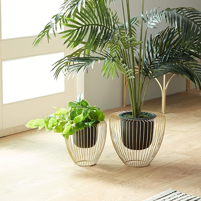 Two potted plants in wire planters on a wooden floor with a light background