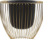 Black planter inside a gold wire basket on a white background