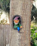 Gnome figurine peeking out from a hole in a tree