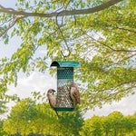 Bird feeder hanging from a tree with birds perched on it, surrounded by green foliage.