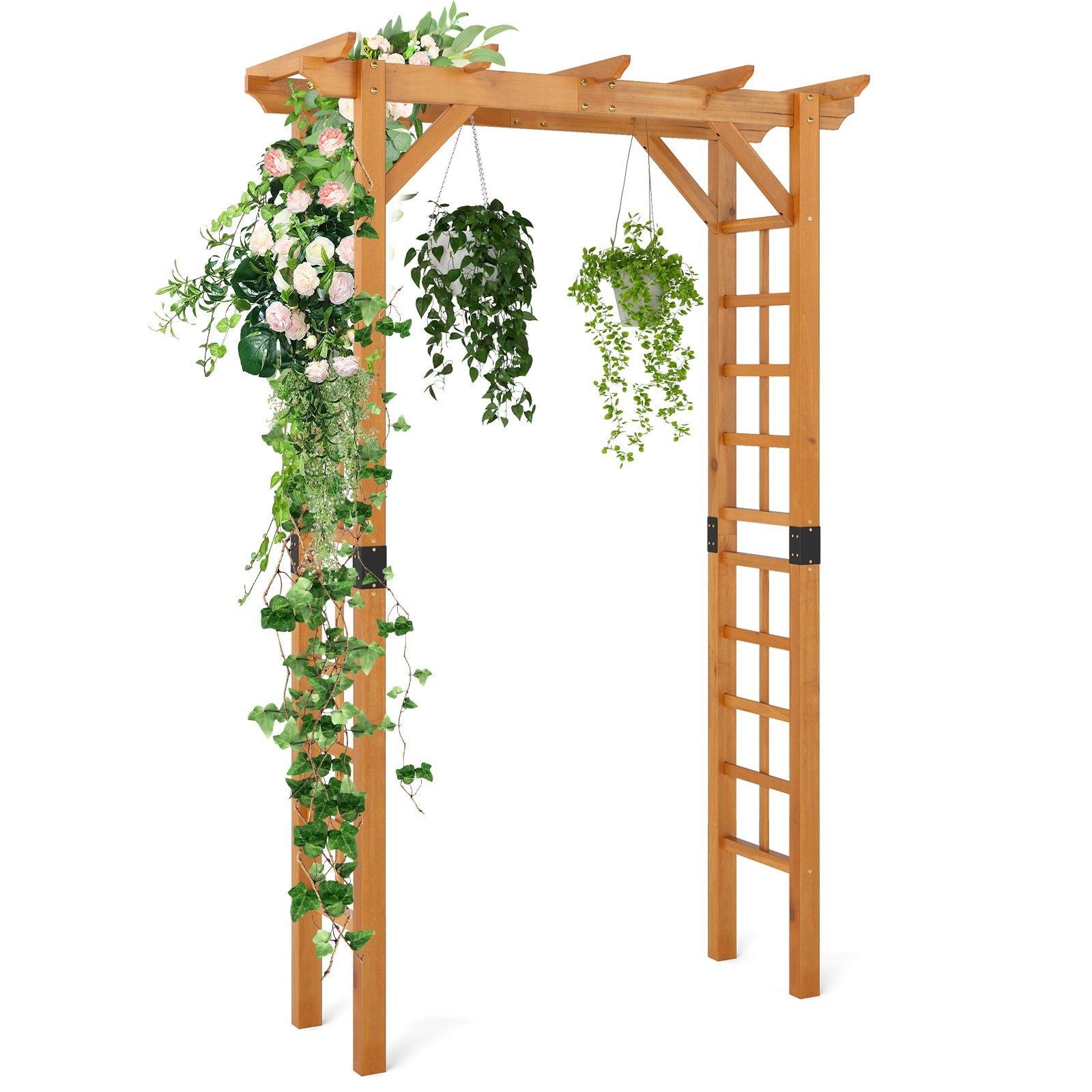 Wooden garden arch with climbing plants on a white background