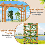 Wooden trellis with climbing plants against a scenic background