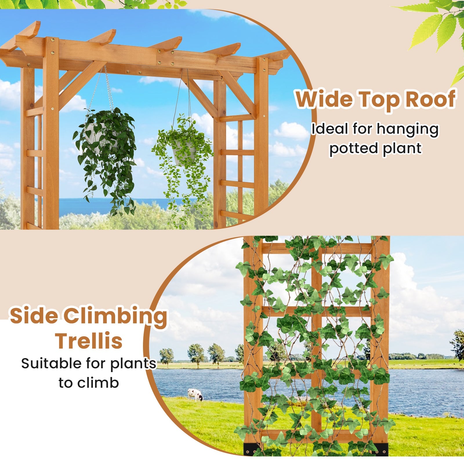 Wooden trellis with climbing plants against a scenic background