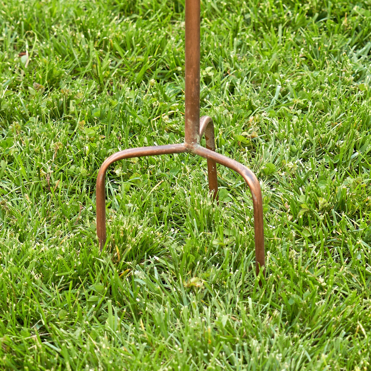 Rust-colored garden fork on green grass