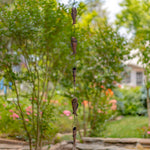 Decorative hanging wind chime with fish shapes in a garden setting