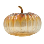 Amber Iridescent Glass Pumpkin with Brass Stem - Napa Valley Wildflower Co.