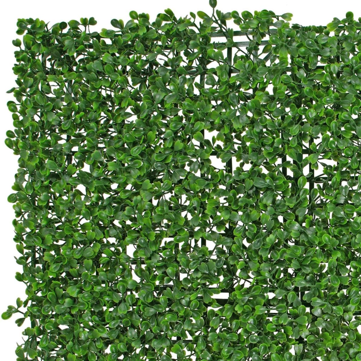 Artificial Boxwood Wall Panels – 8 Sq Ft UV - Resistant Greenery Privacy Hedge (3 Pack) - Napa Valley Wildflower Co.