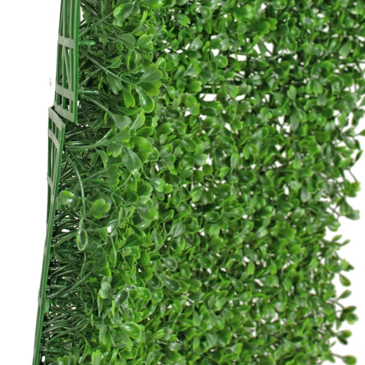 Artificial Boxwood Wall Panels – 8 Sq Ft UV - Resistant Greenery Privacy Hedge (3 Pack) - Napa Valley Wildflower Co.