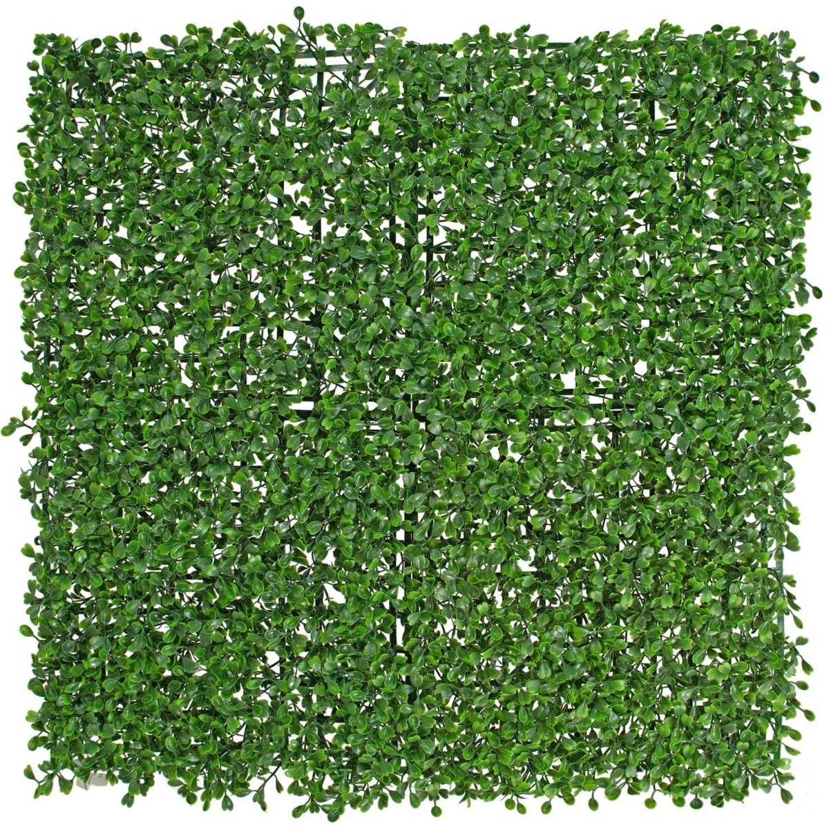 Artificial Boxwood Wall Panels – 8 Sq Ft UV - Resistant Greenery Privacy Hedge (3 Pack) - Napa Valley Wildflower Co.