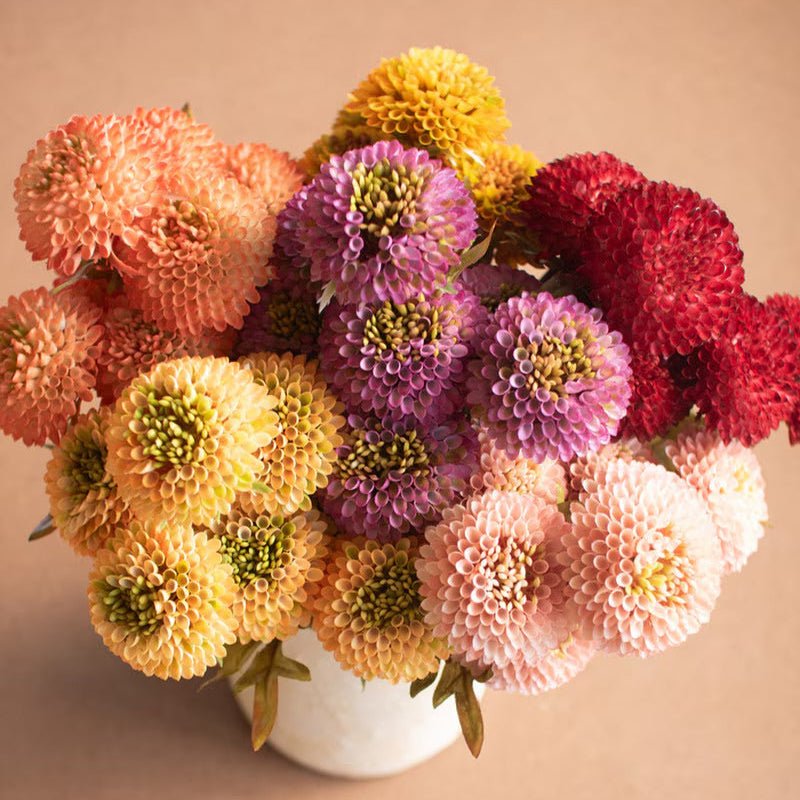 Artificial Mustard Ball Dahlia Bundle - Napa Valley Wildflower Co.